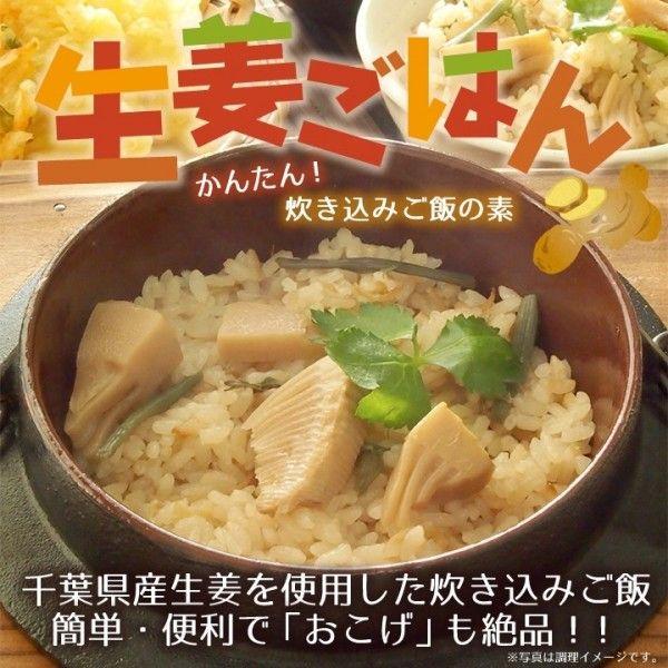 生姜ごはんの素 2合用 1袋 ゆうパケット送料無料