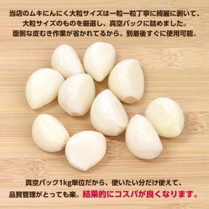 2026年度産 冷蔵 中国産 ムキにんにく 大...の詳細画像2