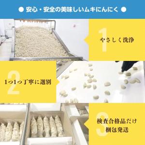 2026年度産 冷蔵 中国産 ムキにんにく 大...の詳細画像5