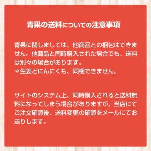 2025年度産 嘉定種ホワイトにんにく種球(4...の詳細画像4