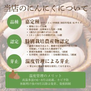【食用】特栽にんにく 4L/1kg (中国規格...の詳細画像2