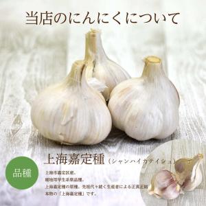 【種用】上海嘉定種(紫にんにく)種球 L/1kgの詳細画像3