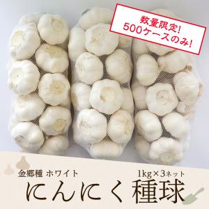 金郷種ホワイト にんにく種球 1kg×3ネット 中国産