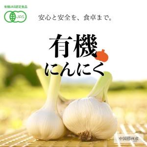 【食用】有機にんにく 3L/1kg×10 (中...の詳細画像2