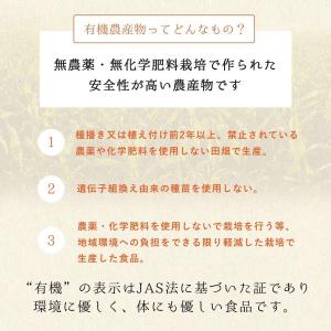 【食用】有機にんにく 3L/1kg×10 (中...の詳細画像5