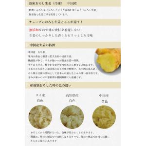 冷凍 おろし生姜 1kg 中国産の詳細画像1