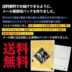 がり生姜 600g ゆうパケット送料無料※量目...の詳細画像2