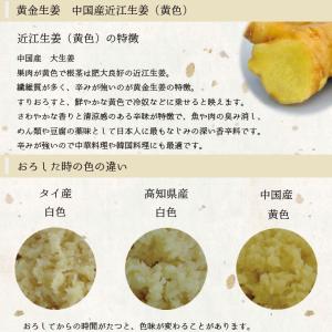 食用 中国産 黄金生姜 10kg(近江生姜 黄色)の詳細画像1