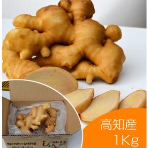 食用 中国産 黄金生姜 10kg（近江生姜 黄色） : 生姜工房 - 通販