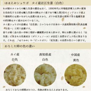 食用 タイ産ほほえみショウガ 4kg(近江生姜 白)の詳細画像1