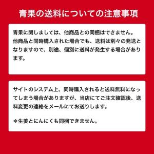 食用 タイ産ほほえみショウガ 4kg(近江生姜 白)の詳細画像4