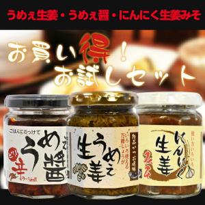 [訳あり][にんにく生姜味噌・うめぇ醤賞味期限2026年1月29日]ご飯のお供お試しセット 送料無料(沖縄を除く)※うめぇ生姜の味は選べません