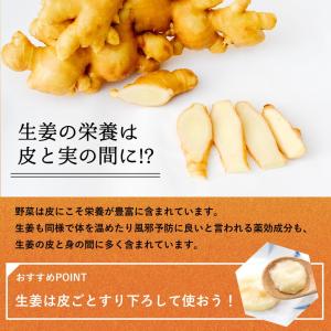 冷凍 皮ごとおろし生姜 1kg×1パック 高知県産の詳細画像2