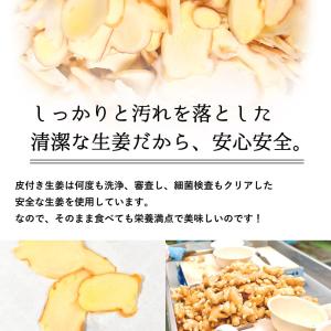 冷凍 皮ごとおろし生姜 1kg×1パック 高知県産の詳細画像3