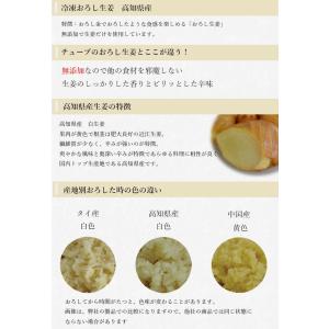 冷凍 皮ごとおろし生姜 1kg×1パック 高知県産の詳細画像4