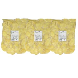 冷凍 スライス生姜 1kg×3 中国産 一次加工品｜shougakoubou