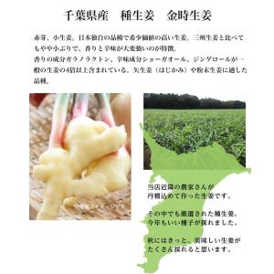種生姜 千葉県産金時生姜10kgの詳細画像1