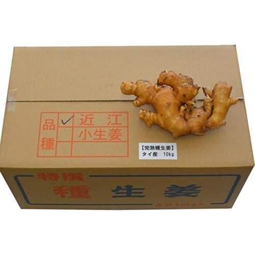 種生姜 タイ産完熟種生姜 （近江生姜白）10kg