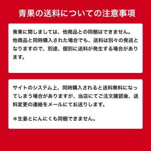 タイ産近江生姜(白)10kg ※種生姜としても...の詳細画像4