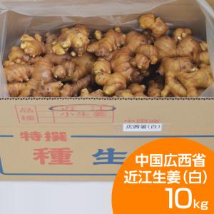種生姜 中国産近江生姜(黄)10kg : 生姜工房 - 通販 - Yahoo 種生姜 中国産近江生姜(黄)10kg : 生姜工房 - 通販 - Yahoo