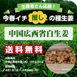 種生姜 中国広西省近江生姜(白)5kg 送料無...の詳細画像1