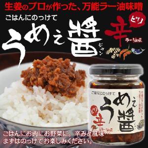 [訳あり][賞味期限2026年1月29日]うめぇ醤 120g 1本