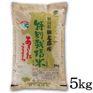 令和5年産 精米 秋田県産 秋田県仙北郡産 特別栽培米 あきたこまち 5kg 甘み 粘り 噛みごたえのバランスがとれたお米です ごはん ご飯 送料込み｜shoujikidou