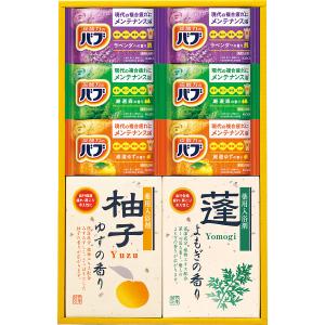 入浴剤ギフト 四季折々 薬用入浴剤セット SBR-20 送料込み お風呂 バス 入浴剤 ギフト セット｜shoujikidou