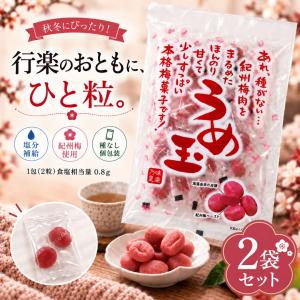 千年屋 うめ玉 種なし 個包装 紀州産 100g 2袋セット 梅菓子 味楽乃里 和歌山県産梅使用 秋の行楽 梅玉 うめだま お菓子 おやつ お返し お茶請け