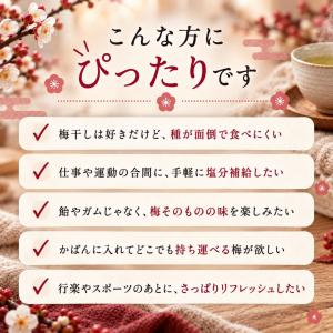 千年屋 うめ玉 種なし 個包装 紀州産 100...の詳細画像2