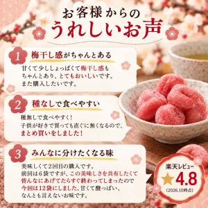 千年屋 うめ玉 種なし 個包装 紀州産 100...の詳細画像1