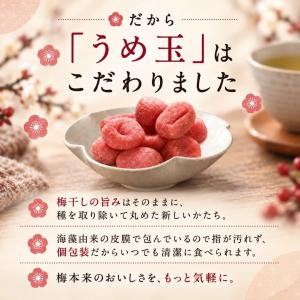 千年屋 うめ玉 種なし 個包装 紀州産 100...の詳細画像3
