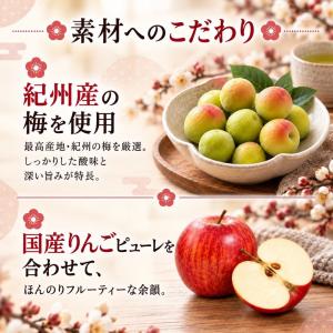 千年屋 うめ玉 種なし 個包装 紀州産 100...の詳細画像4