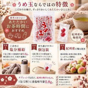 千年屋 うめ玉 種なし 個包装 紀州産 100...の詳細画像5