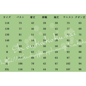 期間限定セール コスプレ鬼滅の刃風子供用大人用...の詳細画像4