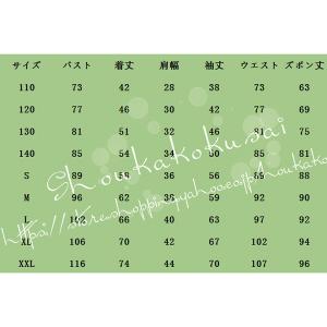 コスプレ鬼滅の刃 風 子供用 大人用 鬼殺隊隊...の詳細画像1