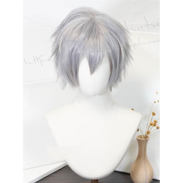 新世紀エヴァンゲリオン 風 渚カヲル ウィッグ 耐熱 cosplay ハロウィン仮装 WIG 変装 ...