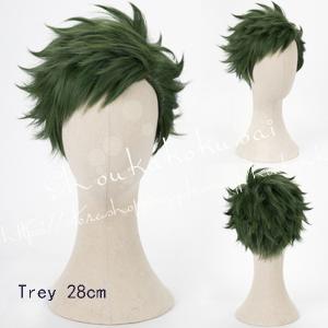 コスプレウィッグ ツイステッドワンダーランド風...の詳細画像3