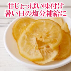 ドライフルーツ 塩レモン 160g ドライフル...の詳細画像3