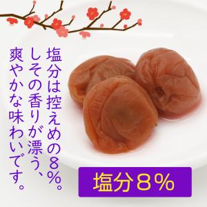 紀州南高梅 200g 送料無料 個包装タイプ ...の詳細画像2
