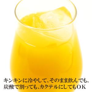 果汁ドリンク 宮崎マンゴードリンク 160g×...の詳細画像2