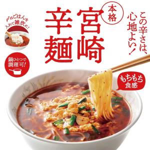 ラーメン 本格宮崎辛麺 2食 スープ付 送料無...の詳細画像2