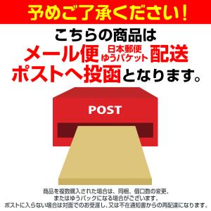 ラーメン 本格宮崎辛麺 2食 スープ付 送料無...の詳細画像5