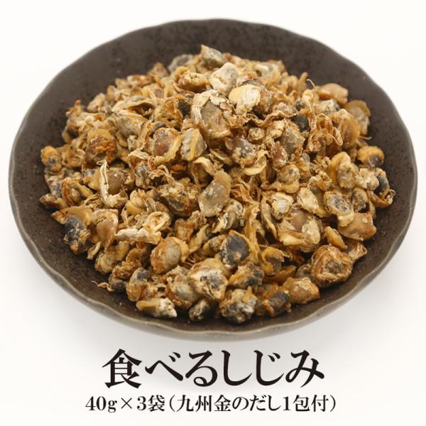 食べる&quot;乾燥&quot;しじみ 使い切り小分けタイプ 40g3袋セット＼九州金のだし1包おまけつき／