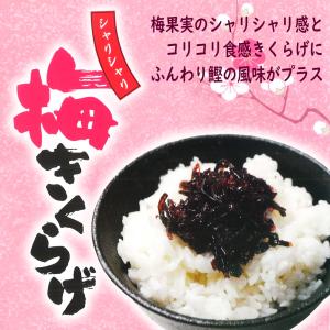 ご飯のお供 シャリシャリ 梅きくらげ 140g...の詳細画像2