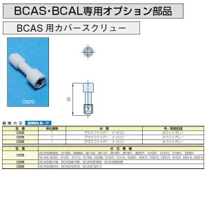 CB20 BCAS用カバースクリューの詳細画像1