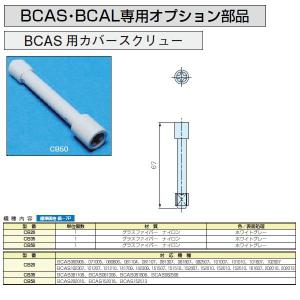 CB50 BCAS用カバースクリューの詳細画像1