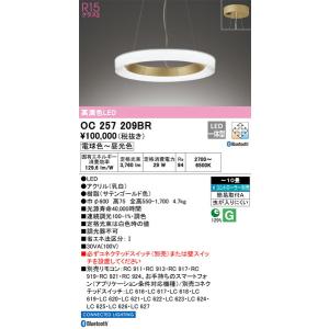 OC257209BR シャンデリア オーデリック 照明器具 シャンデリア ODELIC_送料区分18｜shoumei