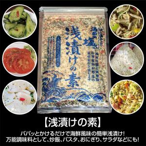 浅漬けの素（パケット便）全国最高賞受賞 パパッとかけるだけで海鮮風味の簡単浅漬け 万能調味料としてパスタやチャーハンなどにもどうぞ