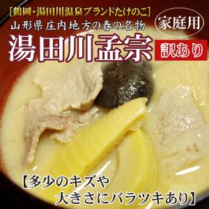 訳あり・ご家庭用に「湯田川孟宗（たけのこ）朝掘り」２.８kg以上　 クール便